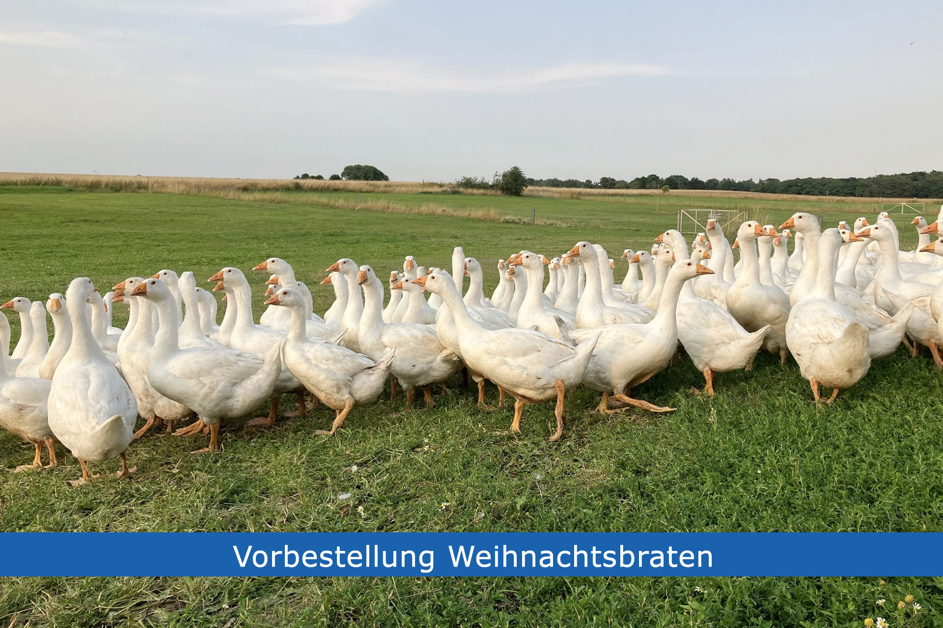 hier klicken...